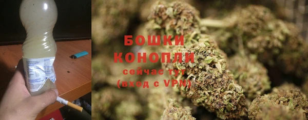 гидра Абаза