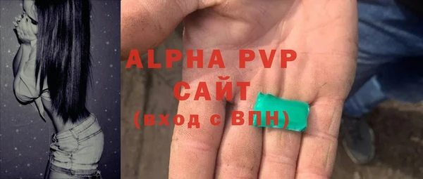 гидра Абаза