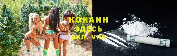 прущие грибы Абинск