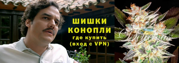 PSILOCYBIN Абдулино
