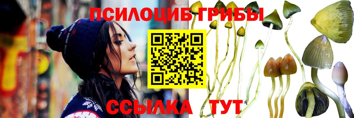 Псилоцибиновые грибы GOLDEN TEACHER  Вход с VPN  Стерлитамак 